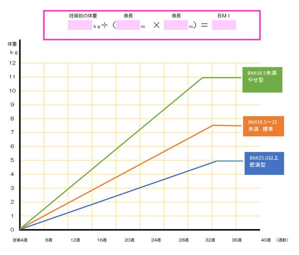 妊娠 7 ヶ月 体重 増加